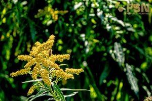 Vorschau von DSC00648.jpg