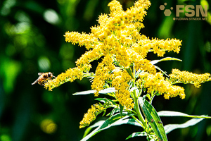 Vorschau von DSC00651.jpg