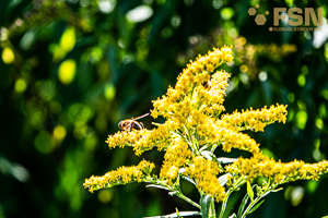 Vorschau von DSC00654.jpg