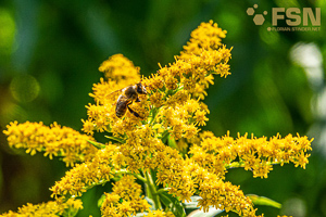 Vorschau von DSC00655.jpg