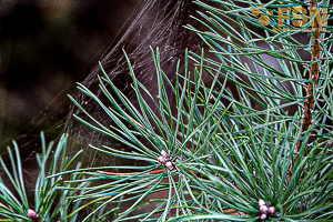 Vorschau von DSC00665.jpg