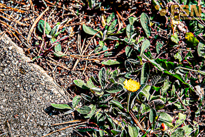 Vorschau von DSC00670.jpg