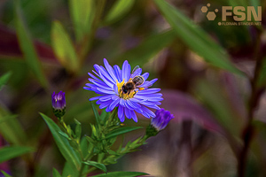 Vorschau von DSC00681-2.jpg