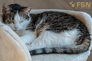 Vorschau von DSC00721.jpg