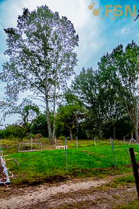 Vorschau von DSC00743.jpg