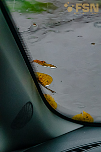 Vorschau von DSC00747.jpg