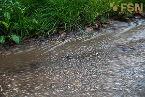 Vorschau von DSC00753.jpg