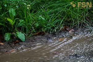 Vorschau von DSC00754.jpg