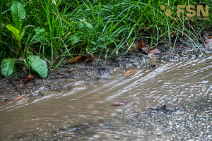 Vorschau von DSC00755.jpg