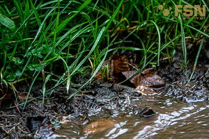 Vorschau von DSC00760.jpg