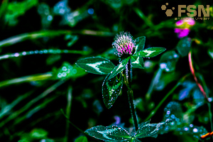 Vorschau von DSC00772.jpg