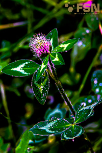 Vorschau von DSC00775.jpg