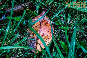 Vorschau von DSC00777.jpg