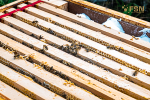 Vorschau von _DSC0926.jpg