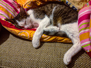 Vorschau von 2017-11-03-20-09-57.jpg