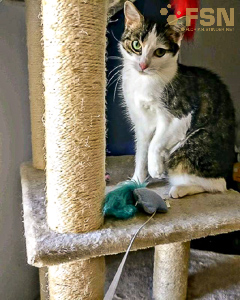 Vorschau von 6094703711.jpg