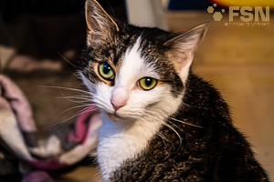 Vorschau von DSC00411.jpg