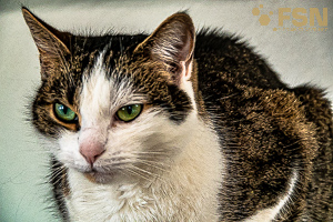 Vorschau von DSC00440.jpg