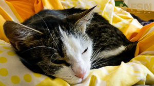 Vorschau von IMG_20190822_162953.jpg