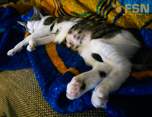 Vorschau von rps20180123_201621.jpg