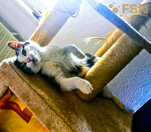 Vorschau von rps20200318_100218.jpg