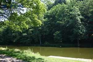 Vorschau von IMG_8012.jpg