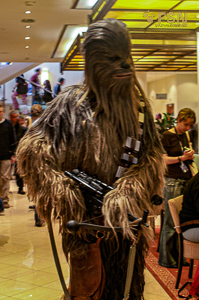 Vorschau von PICT4744.jpg