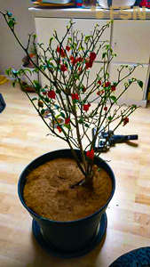 Vorschau von IMG_20190927_183007.jpg