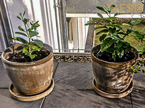 Vorschau von IMG_20210912_183555~2.jpg