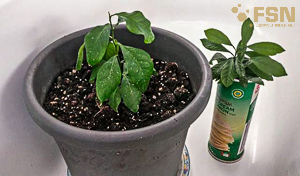 Vorschau von IMG_20210913_081228~2.jpg