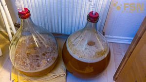 Vorschau von IMG_20190914_070030.jpg