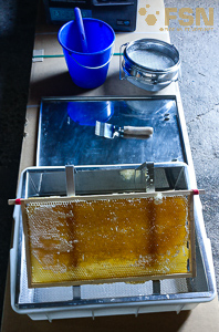 Vorschau von IMG_20210813_161246.jpg