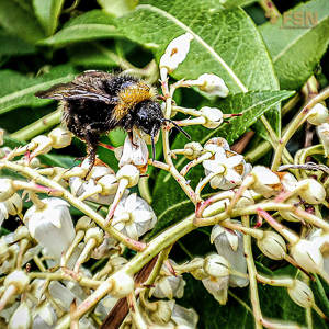 Vorschau von IMG_20220423_143743~2.jpg