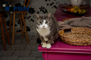 Vorschau von IMG_1053_2wtmk.jpg